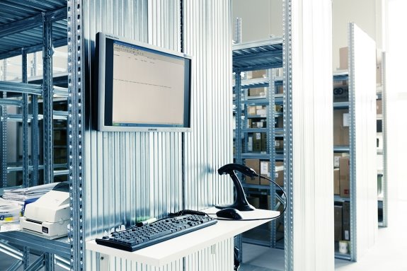 DANX IT development, strong IT skills, EDI integration, customer oriented